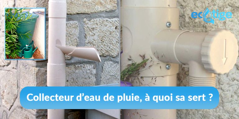 Collecteur d’eau de pluie, à quoi sa sert ?