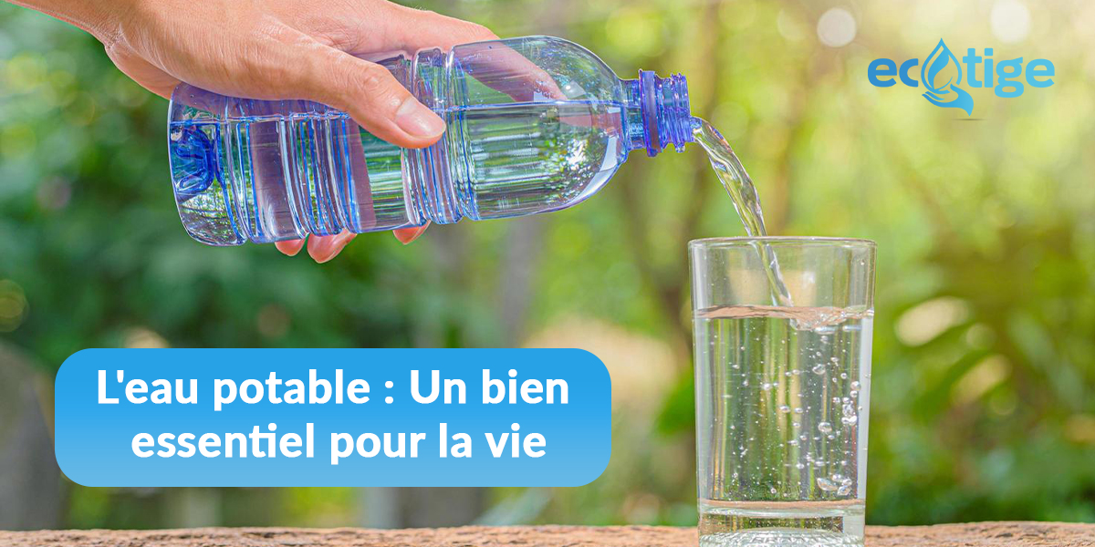 L'eau potable : pourquoi est-ce important pour notre santé et l'environnement ?