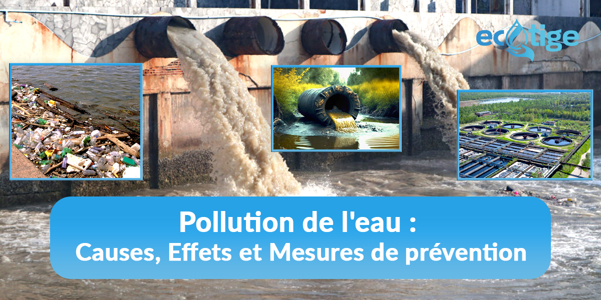 Pollution de l'eau : Causes, Effets et Mesures de prévention