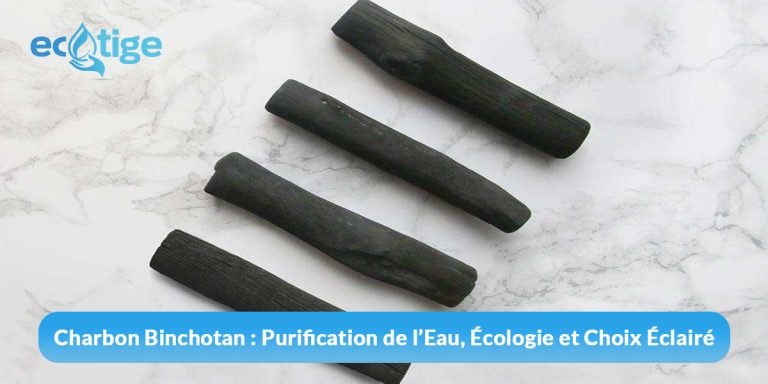 Charbon Binchotan : Purification de l’Eau, Écologie et Choix Éclairé