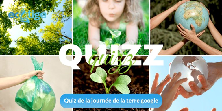 Testez vos connaissances avec le quiz de la Journée de la Terre de Google