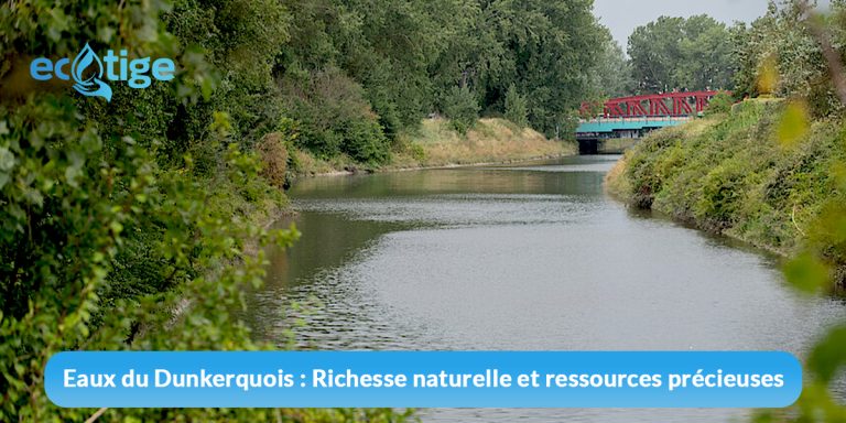 Découvrez les Eaux du Dunkerquois : Richesse Naturelle et Ressources Précieuses