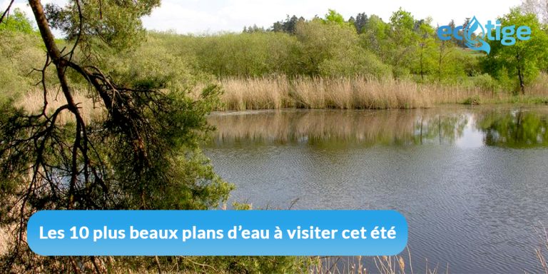 Les 10 plus beaux plans d'eau à visiter cet été