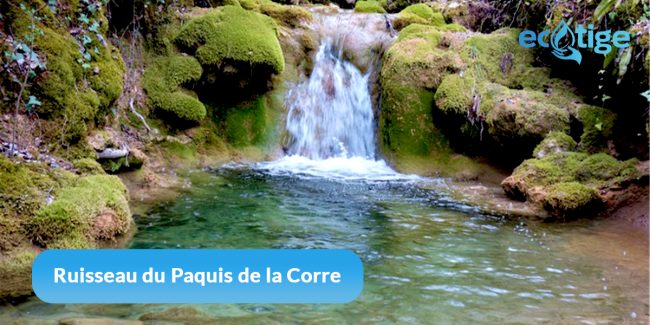 Découvrez les merveilles cachées du Ruisseau du Paquis de la Corre